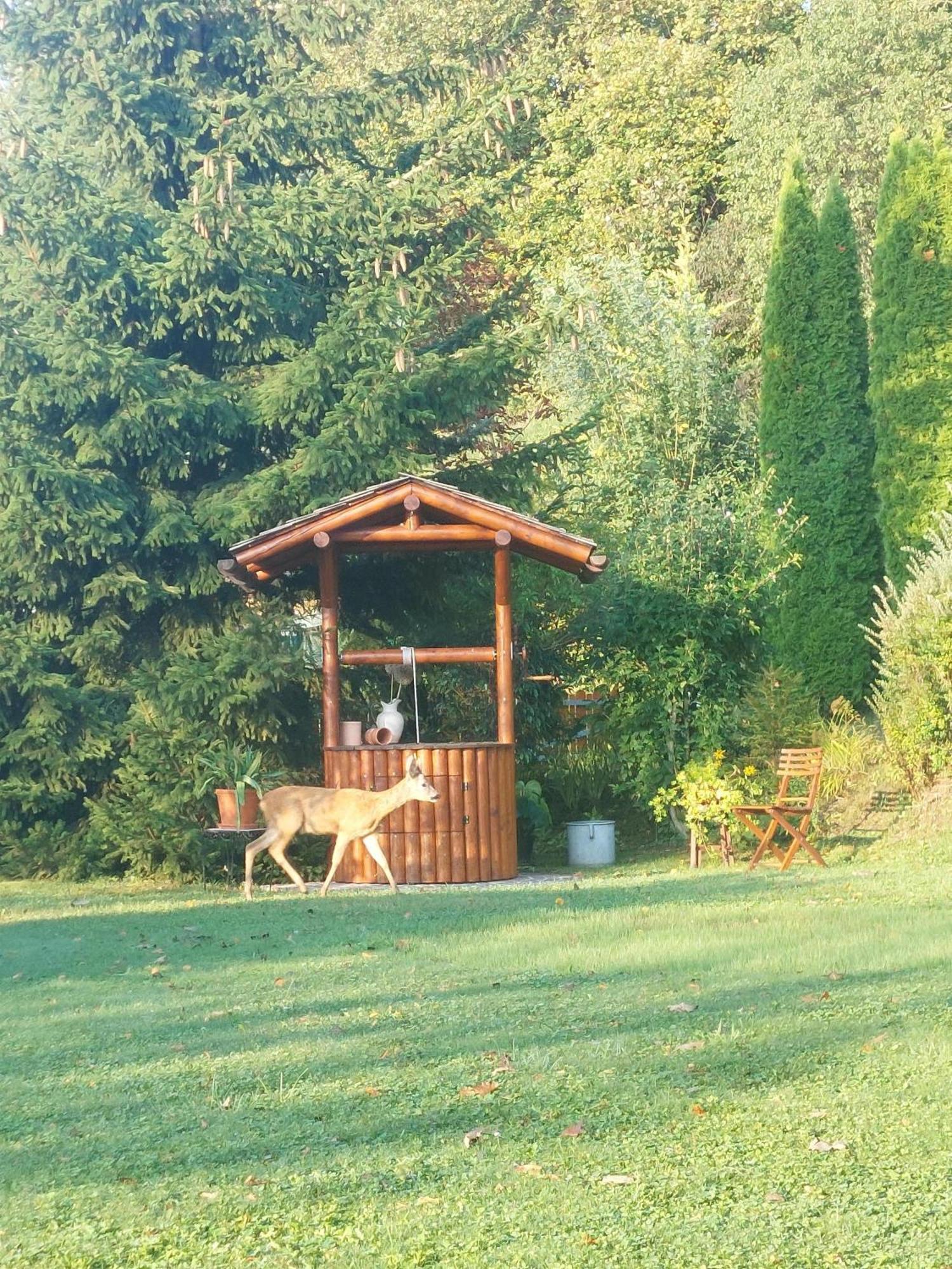 Privatzimmer Am Weinbrunnen Vorchdorf Zewnętrze zdjęcie